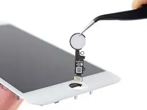 iPhone 8 Plus Home/Touch ID Sensor Replacement