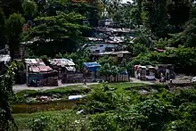 Shanty town in jungle