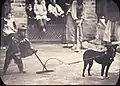 Monkey show, Hunan, c. 1900-1919