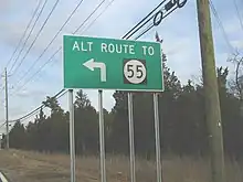 A green sign along a road lined with trees and power lines reading alt route to Route 55 with an arrow pointing to the left