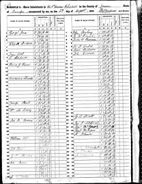 Black-and-white scan of microfilm of ledger recording demographic statistics of slaves owned by white people in the county