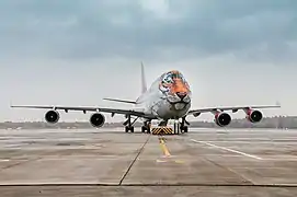 Boeing 747 of Rossiya in Tigrolet livery