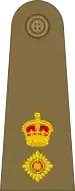 Lieutenant-Colonel