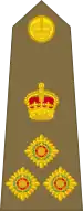 Brigadier