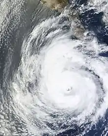 Satellite image of Hurricane Dolores with a large, cloud-filled eye on June 16