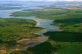 Low aerial view of Iberá Provincial Reserve
