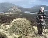 Image of Geoff Baylis with Chionochloa antarctica on Campbell Island, 2000