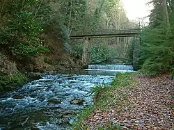 River Neb with footbridge