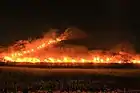 Sakitama Fire Festival