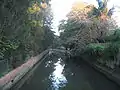 Hawthorne Canal looking upstream near Lord Street, Haberfield.