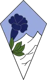Insignia of the 27th Mountain Infantry Brigade, 27e BIM