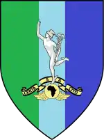 SANDF Signals Formation Emblem