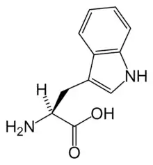 L-Tryptophan(Trp / W)