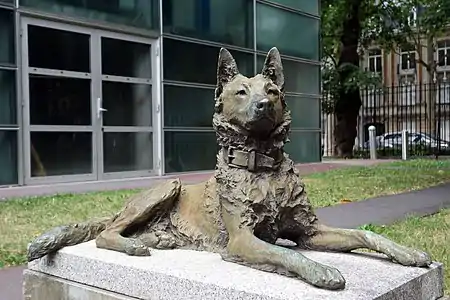 Tom, Belgian Shepherd, 1905, bronze
