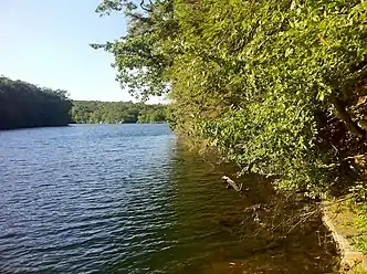 Narragansett Trail - south end of Green Fall Pond looking north.