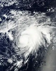 Satellite image of a weak but intensifying Tropical Storm Niala on September 25