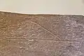 Nigde museum Porsuk inscription Late Hittite 8th BC Detail 6