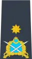 Insignia of a one-star, Air commodore