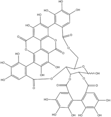 Chemical structure of punicalagin