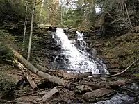 A cascade, divided at the top by a large boulder, slides across a rock face diagonally, from left to right. A mixed forest is visible above the falls, with green and yellow leaves. A large clump of fallen limbs and trees sits at the base of the falls.