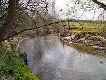 A river flowing through grassland