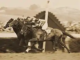 Rogilla,1934 Kings Cup Peter Pan 2nd, Kuvera 3rd