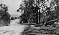 Moggill Road, Indooroopilly, 1921