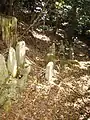 Grave stones at the ruin of Myōyōji Temple (1) (10/2008)