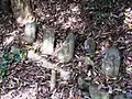 Grave stones at the ruin of Myōyōji Temple (2) (10/2008)