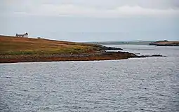 The West Coast of Helliar Holm low tide on a rainy day and the wave-cut platform is exposed.