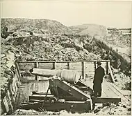 Cannon with muzzle shot away