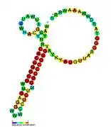 tpke11: Secondary structure taken from the Rfam database. Family RF02031