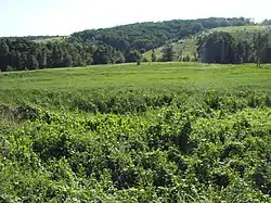 Landscape in Uryupinsky District