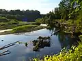View of Molalla River from the walking trail