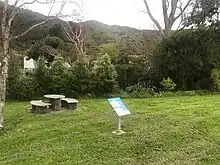 View of grassy area near riverbank