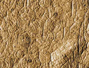 Spirals interpreted to be lava coils on the surface of a Martian lava lake in Cerberus Palus. Field of view is about 500 m.