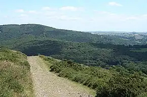 Image of the unpaved drive sitting in the valley looking down over wooded terrain to the river at the bottom